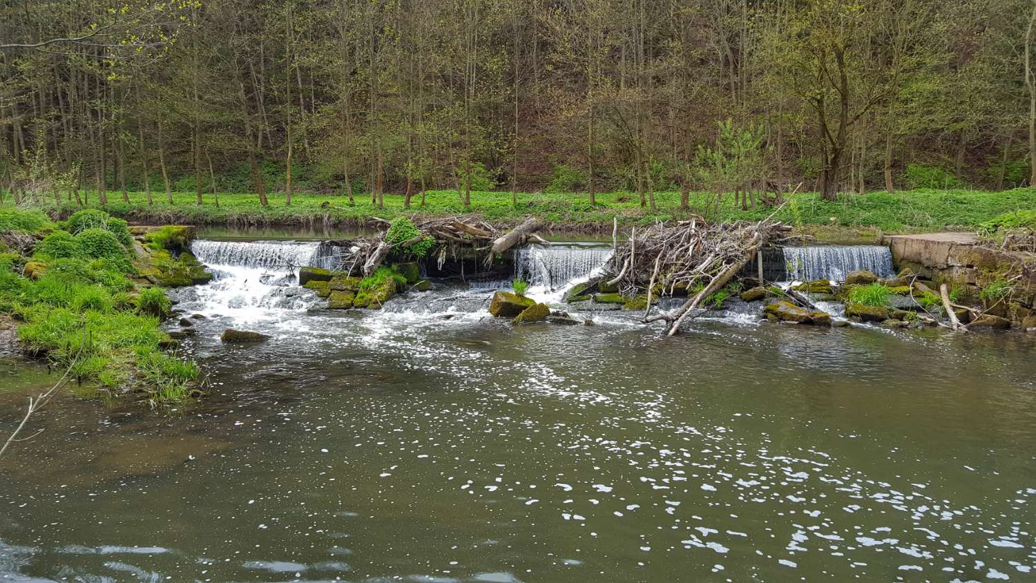 Durchgängigkeit der Mahlmühle in der Werra