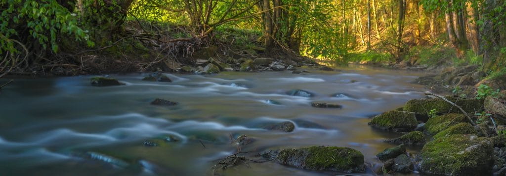 Königsfischen 01.05.2026
