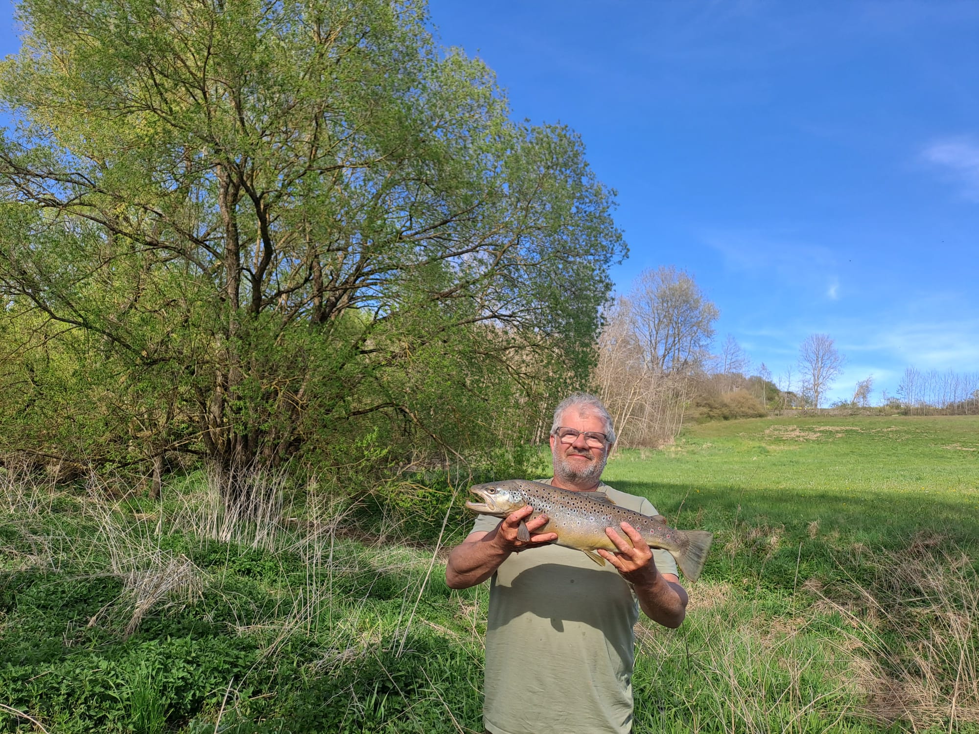 Bachforelle – gefangen am (Fisch des Jahres)